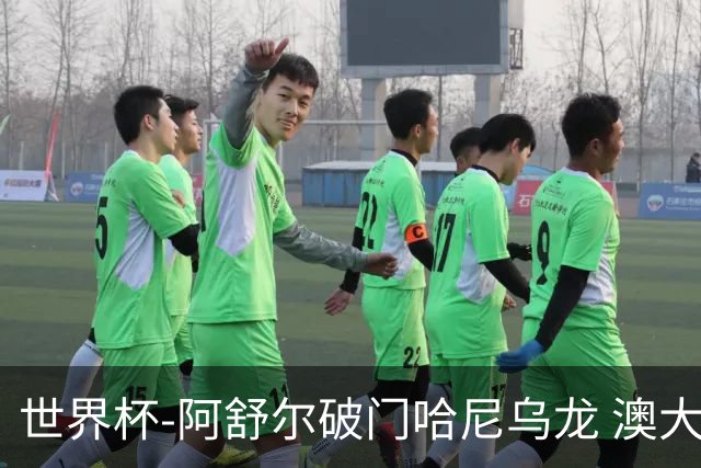 世界杯-阿舒尔破门哈尼乌龙 澳大利亚1-1埃及进点球